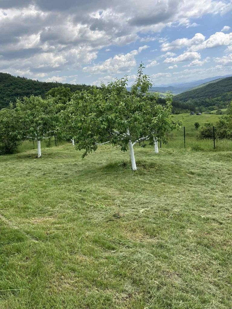 Eladó  Ház régió Pazardzhik , Srebrinovo , 56 négyzetméter | 48780972 - kép [4]