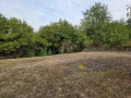 Продава КЪЩА, област Велико Търново, с. Леденик • 140000 € • 67289086 16