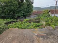 Продава КЪЩА, област Велико Търново, с. Леденик • 140000 € • 67289086 2