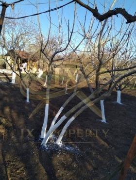 ������� ���� | Imot.bg � ����� ������ 5