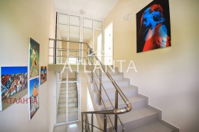 ����� ������� ����,��. ������, ������ ������