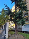 Продава 2-СТАЕН, град София, Иван Вазов • 360000 € / 704098.80 лв. • 40832447 10