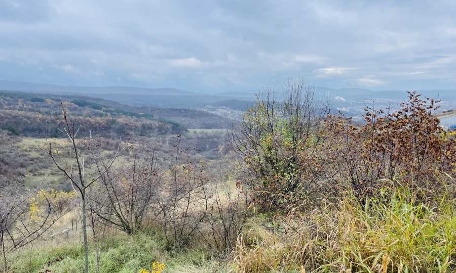 ������� ������ | Imot.bg � ����������� 4