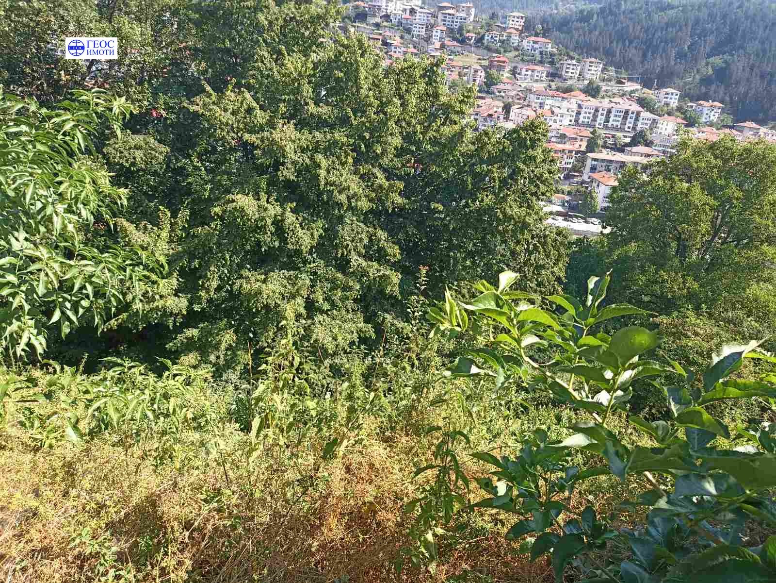 Продава ПАРЦЕЛ, гр. Смолян, Долно Райково, снимка 2 - Парцели - 47189280
