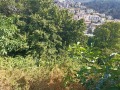 Продава ПАРЦЕЛ, гр. Смолян, Долно Райково, снимка 2