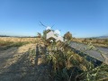 Продава ПАРЦЕЛ, област Пловдив, с. Оризари • 197750 € / 386765.38 лв. • 72236908 3