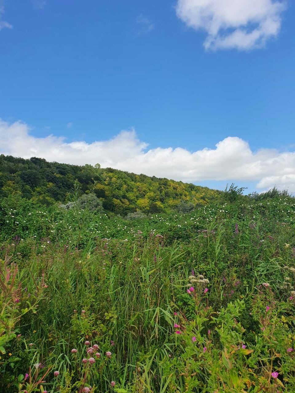 ������� ������ | Imot.bg � ����������� 4