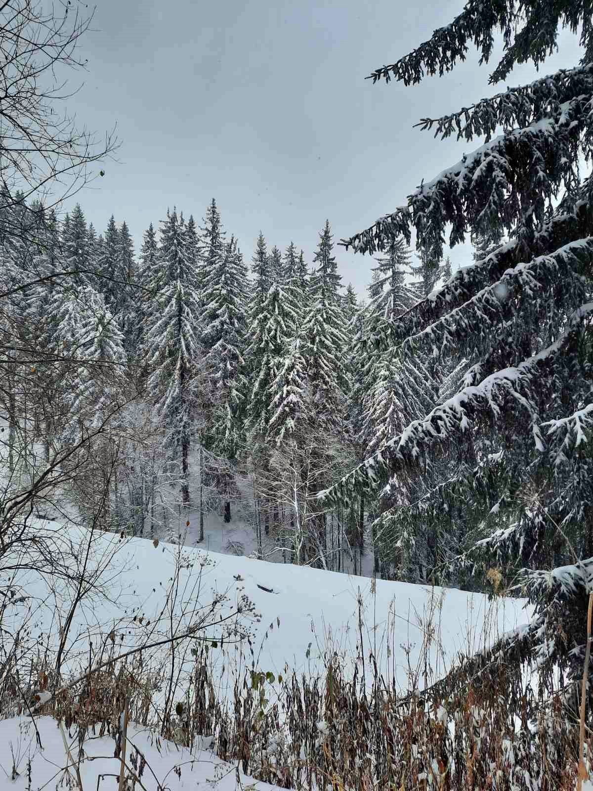 ������� ������ | Imot.bg � ����������� 2