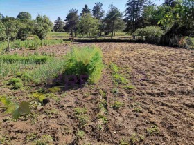 ������� ���� | Imot.bg � ����� ������ 10