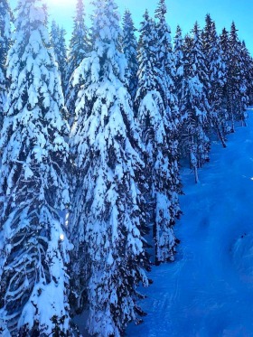 ������� ������ | Imot.bg � ����� ������ 3