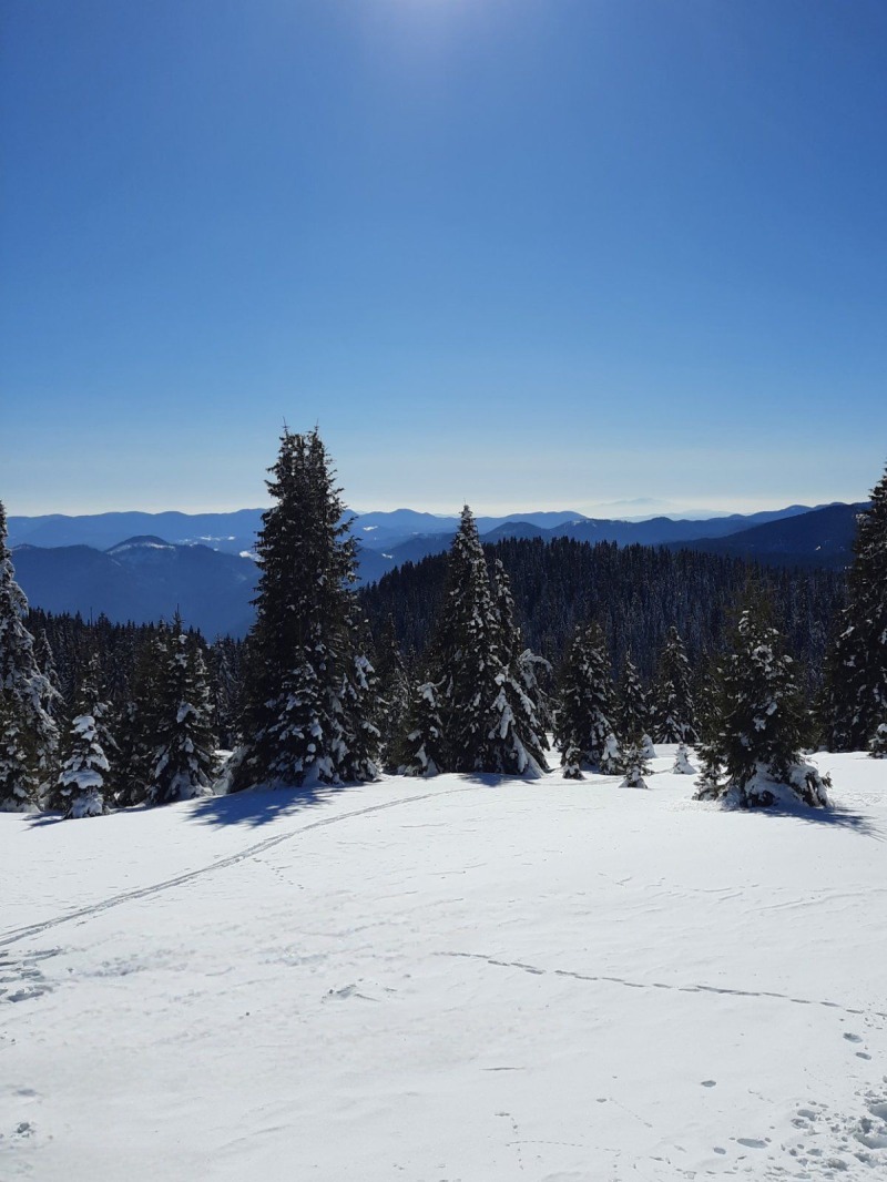 Продава ПАРЦЕЛ, с. Зорница, област Смолян