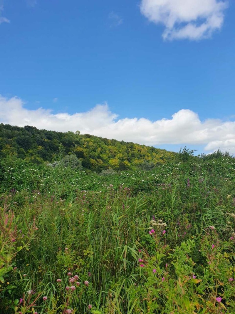 Продава ПАРЦЕЛ, с. Зорница, област Смолян, снимка 4 - Парцели - 53533750