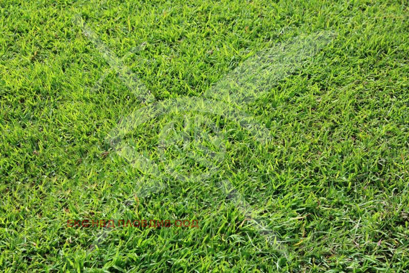 Продава ПАРЦЕЛ, гр. Стамболийски, област Пловдив