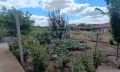 Продава КЪЩА, област Велико Търново, с. Сушица • 22000 € • 83180086 — Holmes.bg
