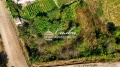 Продава ПАРЦЕЛ, област Шумен, с. Миланово • 40000 лв. • 72028255 — Holmes.bg