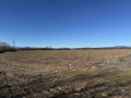 Продава  Парцел област Пазарджик , с. Гелеменово , 60000 кв.м | 87726035 - изображение [4]