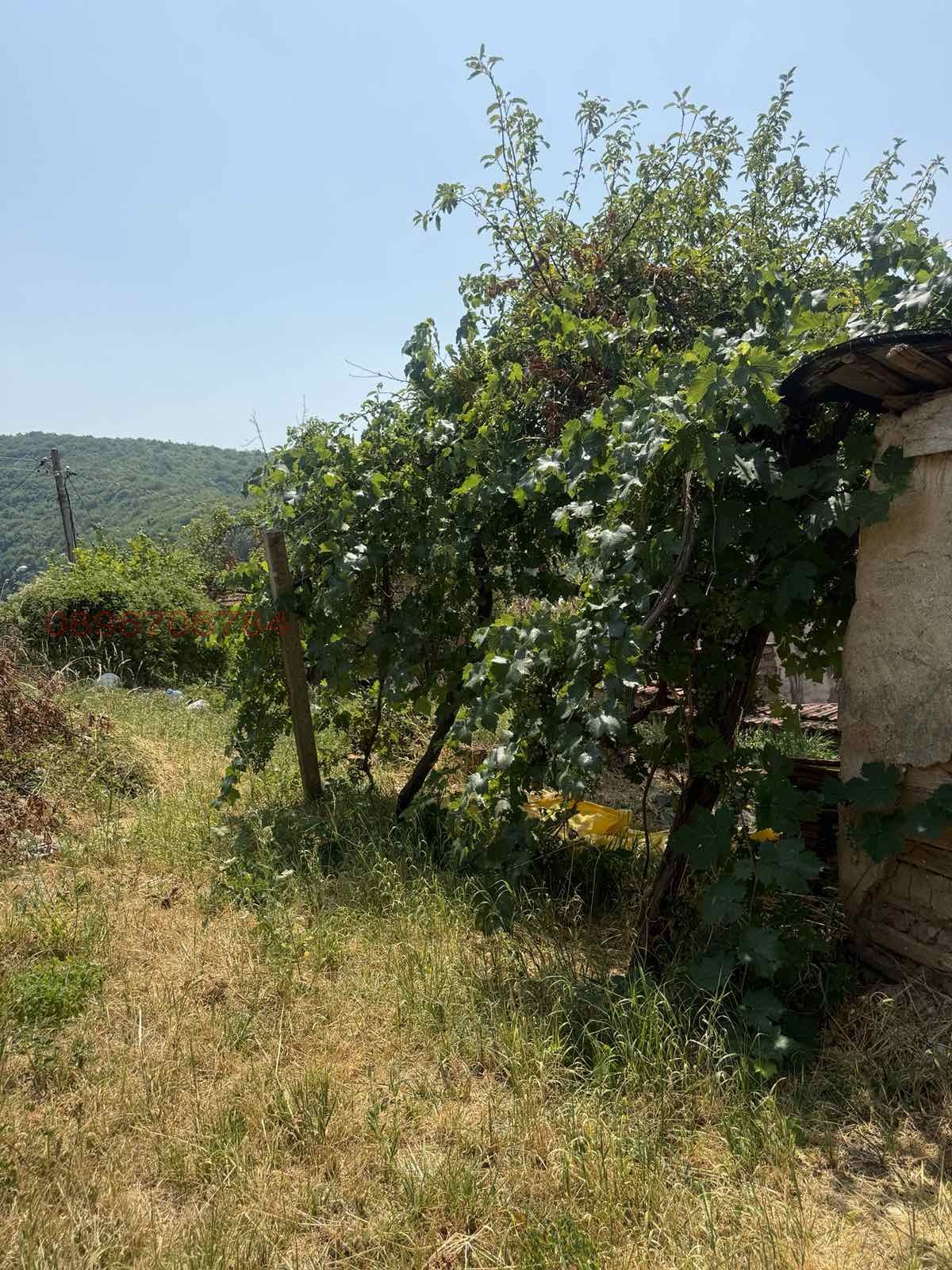 ������� ���� | Imot.bg � ����������� 8