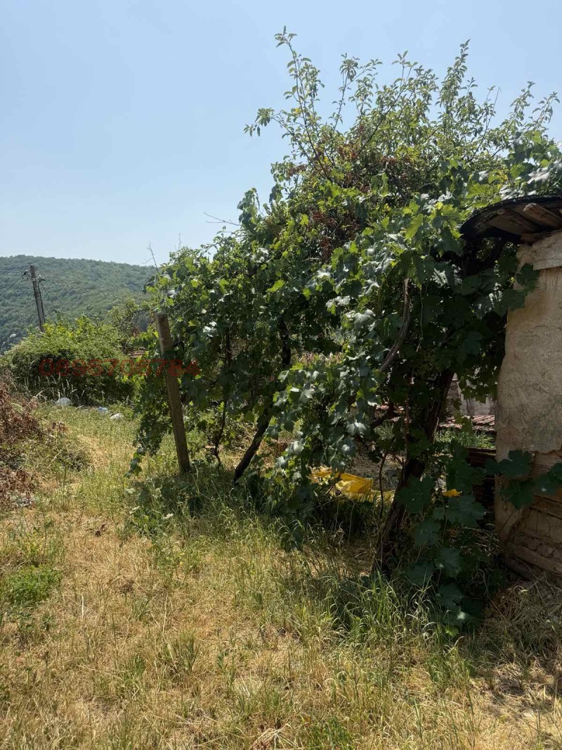 Продава КЪЩА, с. Цървеняно, област Кюстендил, снимка 8 - Къщи - 52780177