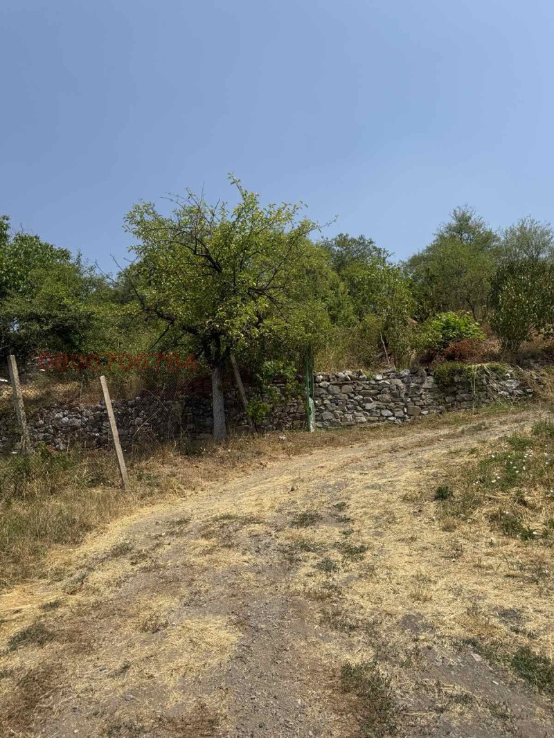 Продава КЪЩА, с. Цървеняно, област Кюстендил, снимка 15 - Къщи - 52780177