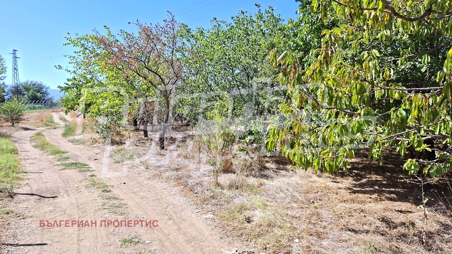 Продава ПАРЦЕЛ, с. Цалапица, област Пловдив, снимка 14 - Парцели - 56010081