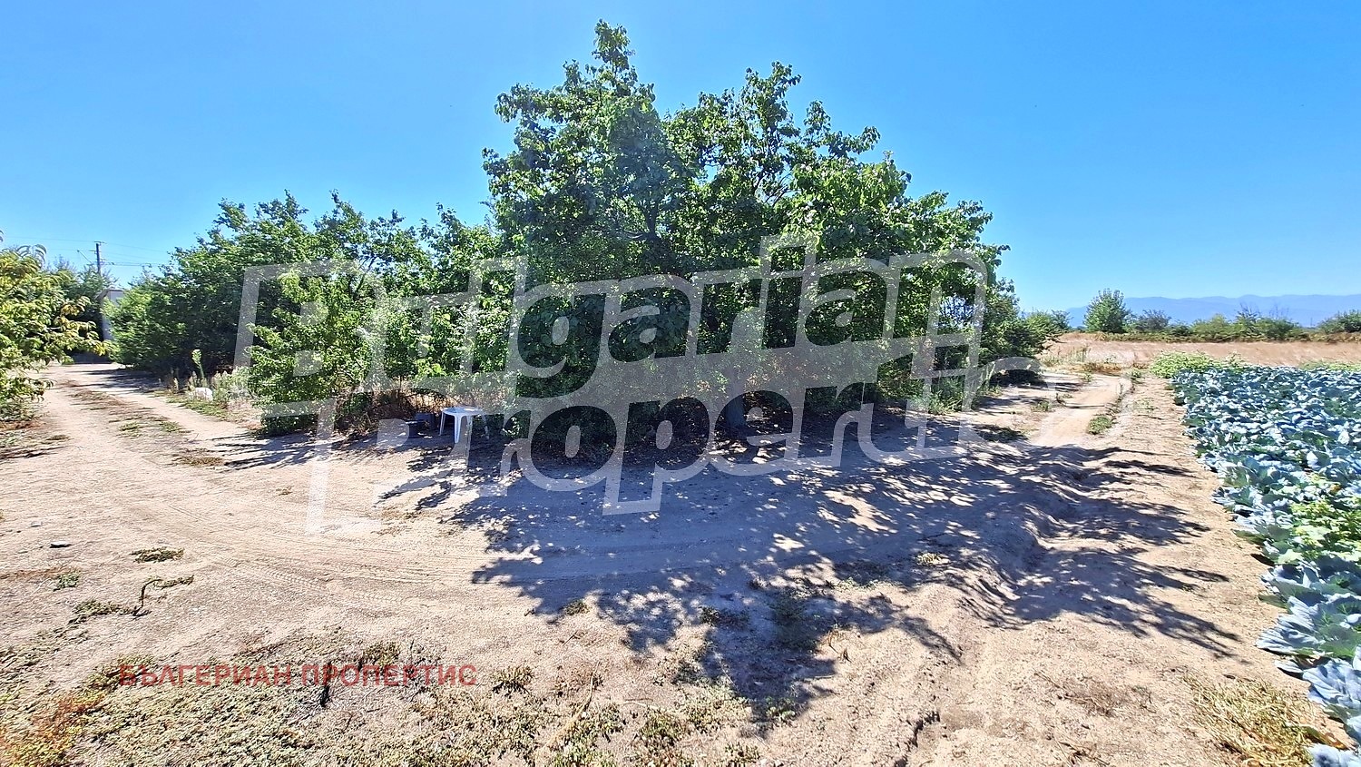 Продава ПАРЦЕЛ, с. Цалапица, област Пловдив