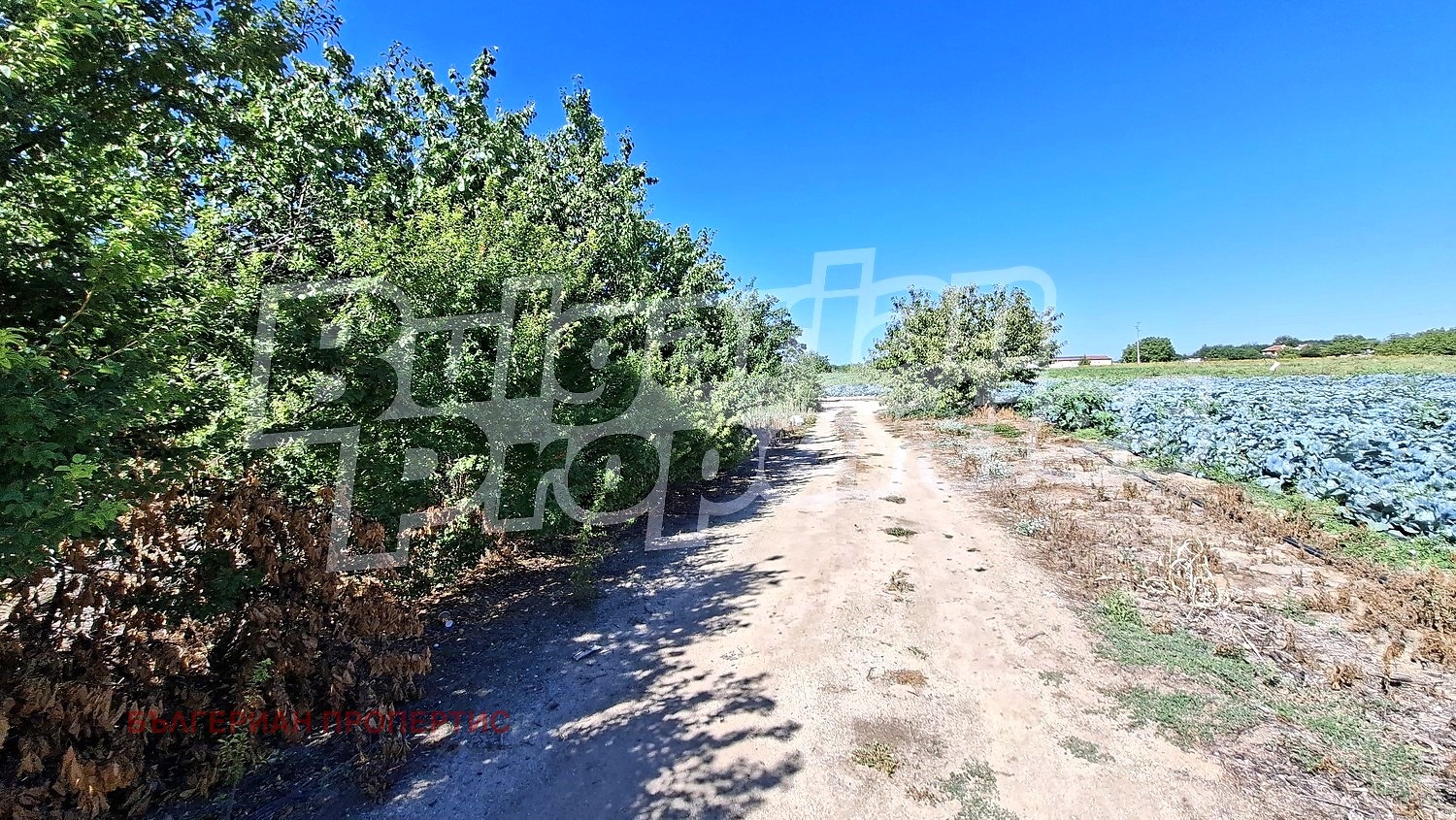 Продава ПАРЦЕЛ, с. Цалапица, област Пловдив, снимка 4 - Парцели - 56010081