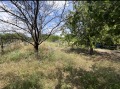 Продава ПАРЦЕЛ, гр. Пловдив, Беломорски, снимка 7