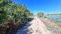 Продава ПАРЦЕЛ, с. Цалапица, област Пловдив, снимка 4