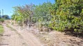 Продава  Парцел област Пловдив , с. Цалапица , 3590 кв.м | 25192130 - изображение [14]
