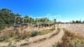 Продава  Парцел област Пловдив , с. Цалапица , 3590 кв.м | 25192130 - изображение [2]
