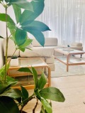 Продава 3-СТАЕН, град Бургас, Възраждане • 255000 € • 27532286 — Holmes.bg