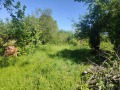 Продава КЪЩА, област Пловдив, с. Богданица • 32000 € • 43432335 — Holmes.bg