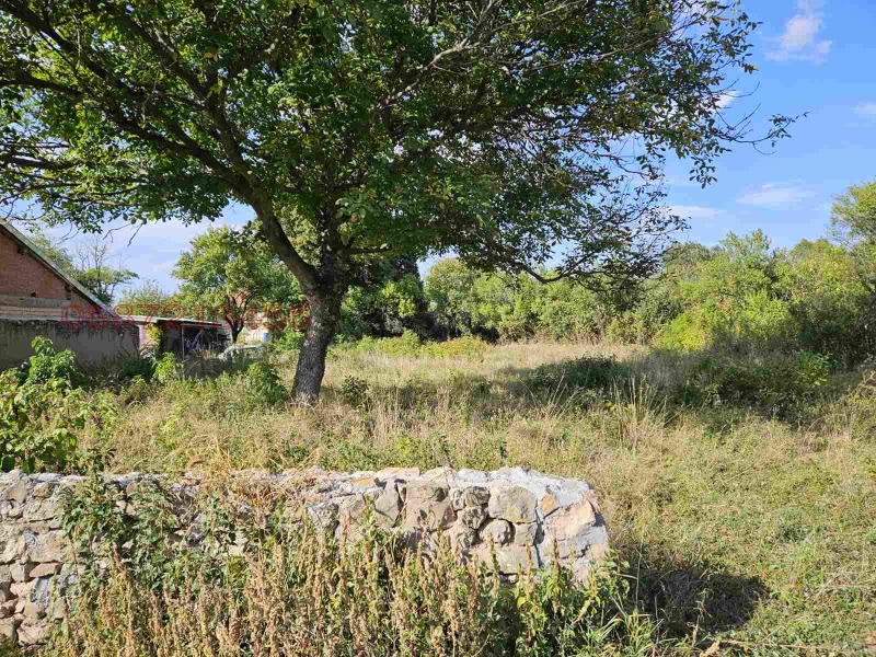 For Sale  Plot region Pernik , Dolni Rakovets , 800 sq.m | 69713863 - image [6]