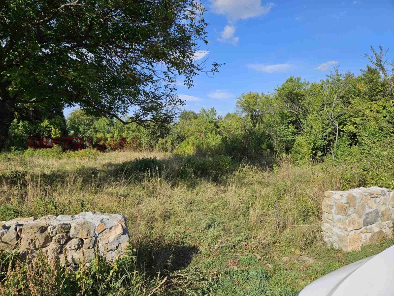 For Sale  Plot region Pernik , Dolni Rakovets , 800 sq.m | 69713863 - image [5]
