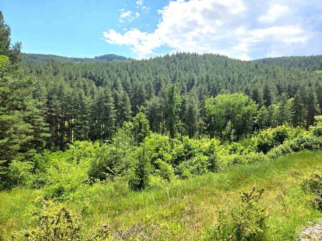 Продава ПАРЦЕЛ | Imot.bg — изображение 1