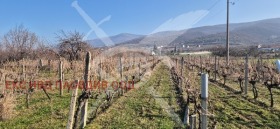 ����� ������� ���������� ����,�. �������, ������ �������