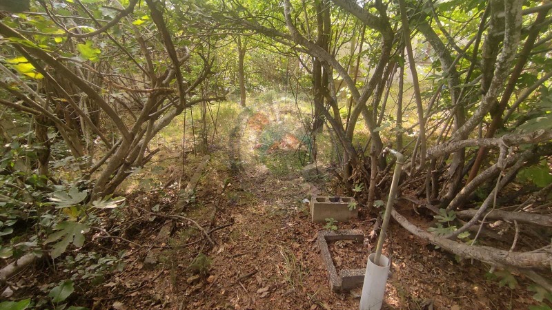 Na prodej  Dům Varna , m-t Rakitnika , 67 m2 | 83556368 - obraz [6]