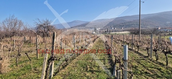 Продава ЗЕМЕДЕЛСКА ЗЕМЯ, с. Марково, област Пловдив