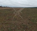 Продава ПАРЦЕЛ, област Пловдив, с. Скобелево • 13000 € • 93767048 — Holmes.bg
