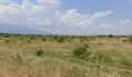 Продава ПАРЦЕЛ, град София, Горубляне • 363584 € • 43272424 — Holmes.bg