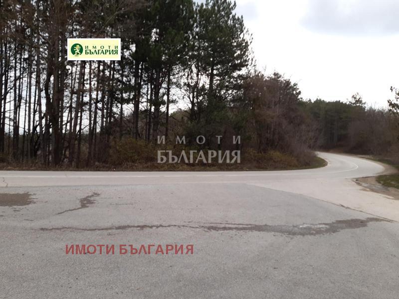   | Imot.bg   1