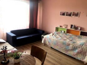 1 bedroom Humni dol, Pernik 10