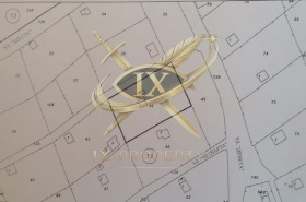 ������ ������� ������