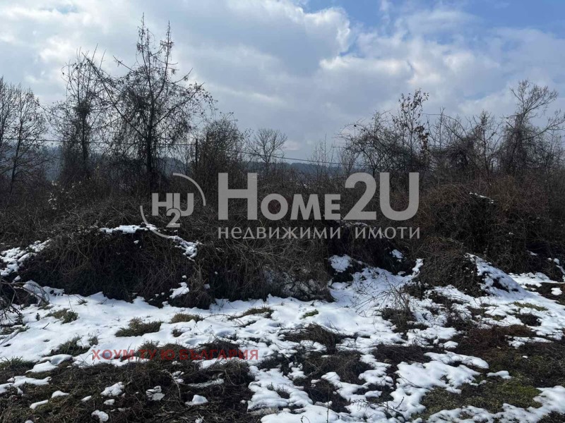 Na prodej  Spiknutí Sofia , Pančarevo , 750 m2 | 43351833 - obraz [5]
