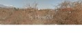 Продава ПАРЦЕЛ, град София, с. Панчарево • 85000 € • 51365262 — Holmes.bg