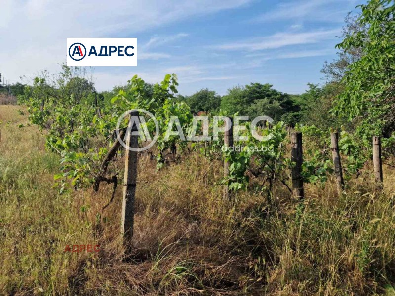 Продаја  Плот регион Варна , Страшимирово , 3112 м2 | 89703762 - слика [4]
