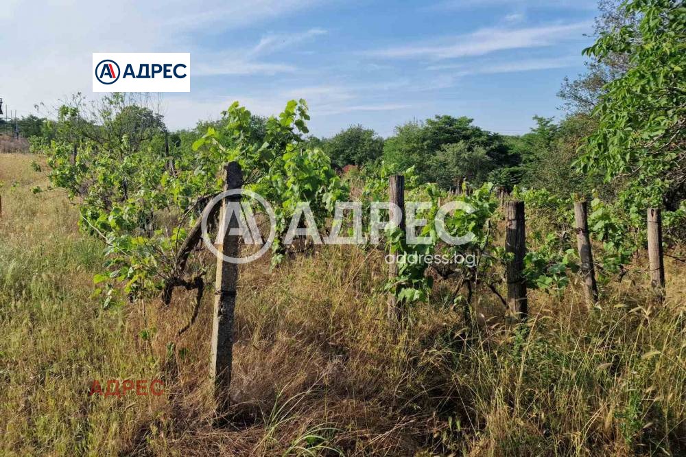 Продава ПАРЦЕЛ, с. Страшимирово, област Варна, снимка 4 - Парцели - 50710804