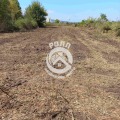 Продава ПАРЦЕЛ, с. Марково, област Пловдив, снимка 1