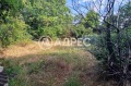 Продава ПАРЦЕЛ, с. Страшимирово, област Варна, снимка 3