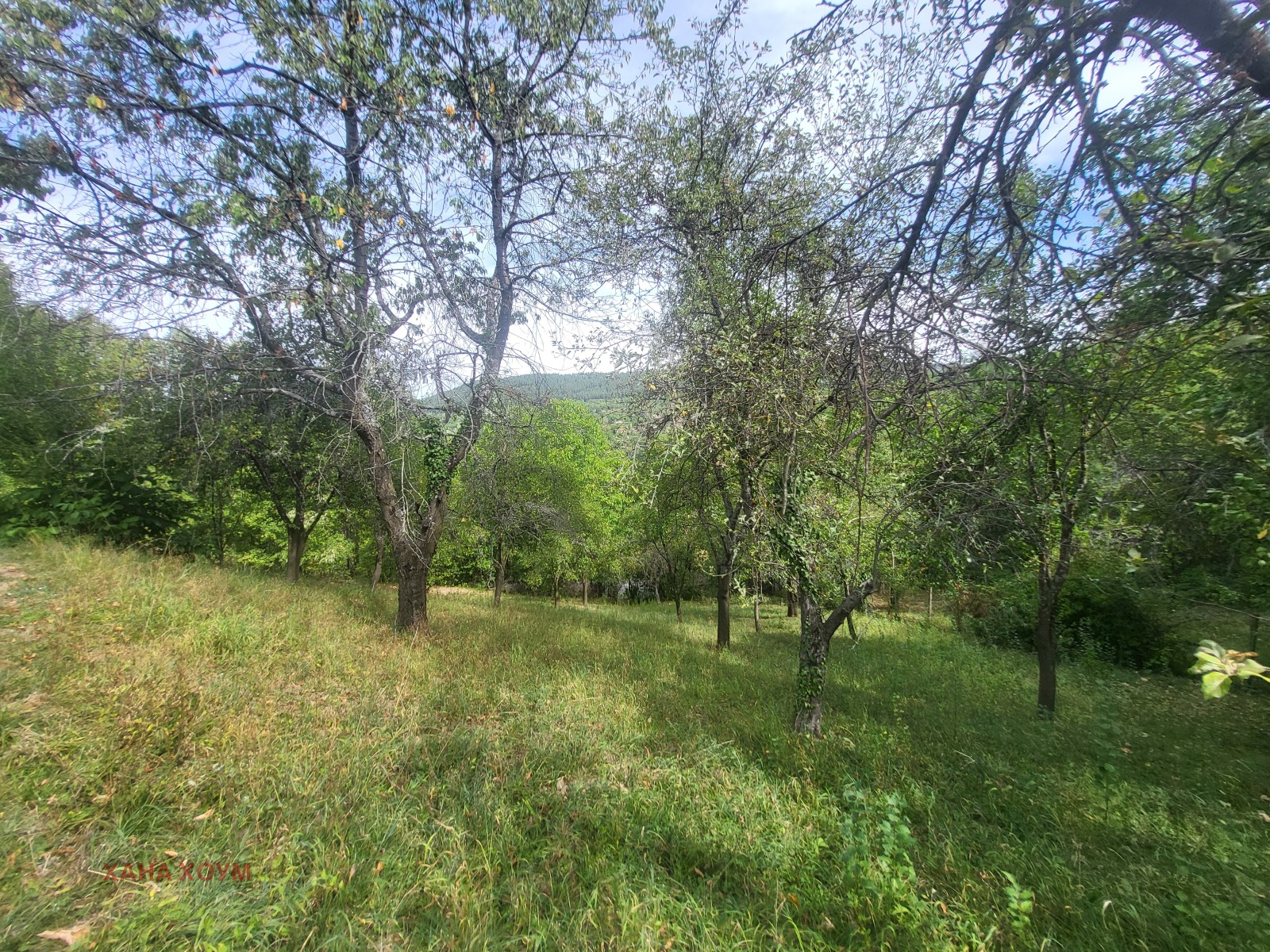 Продава КЪЩА | Imot.bg — изображение 4